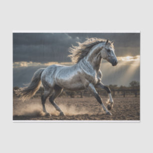Mousseline Papier de découpage Cheval sauvage de tempête d'ar
