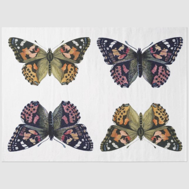 Mousseline Papier de découpage d'éléments papillon (Recto)