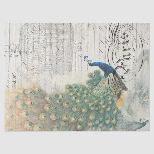 Mousseline Papier de Decoupage d'éphémères de paon (Recto)