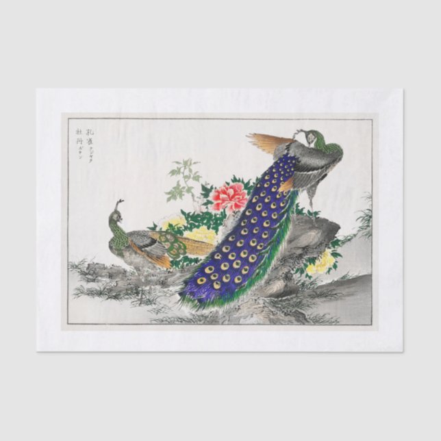 Mousseline Papier de découpage Peacock (Recto)