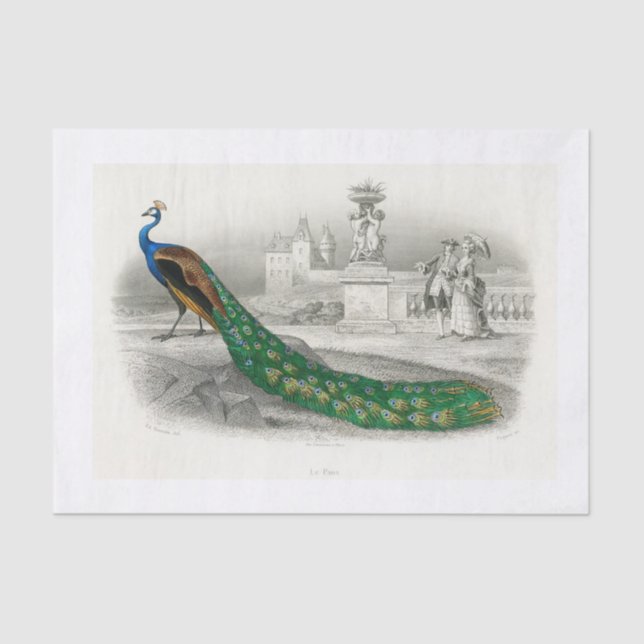 Mousseline Papier de découpage Peacock (Recto)