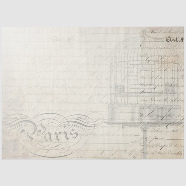 Mousseline Papier de découpage Peacock Script Companion (Recto)