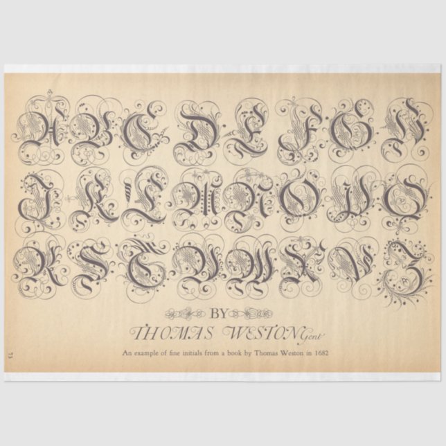 Mousseline Papier de découpage Rollerball (Recto)