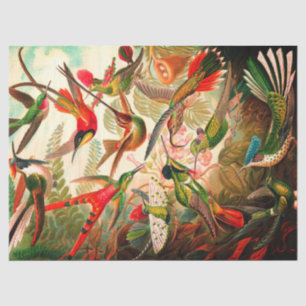 Mousseline Papier de fond de découpage des colibris