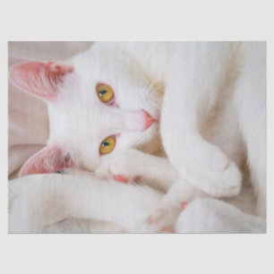 Mousseline papier de mouchoir kitty