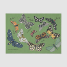 papier de papier de 18 livres vert papillon