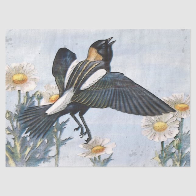Mousseline Papier de papier de découpage pour oiseaux Bobolin (Recto)