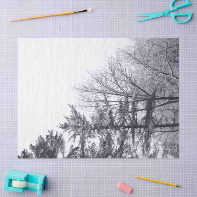 Mousseline Papier de papier de tissus recouvert de neige (Artisanat)