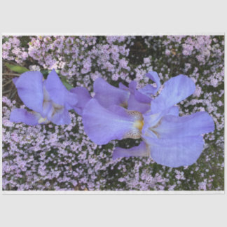 Mousseline Papier de tissu de fleurs violettes