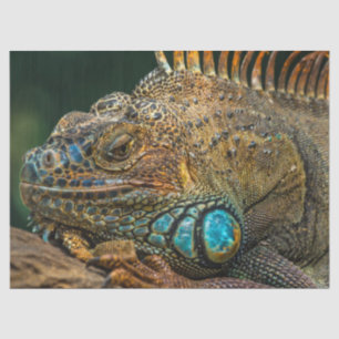 Mousseline papier de tissu de lézard reptile
