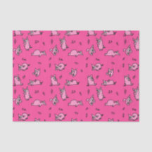 Papier de Tissu de Porc