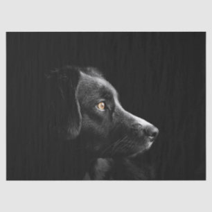 Mousseline papier de tissu de récupération de labrador noir