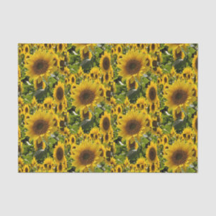 Mousseline Papier de tissu décoratif Tournesol