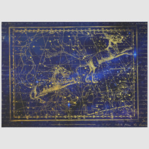 Mousseline papier de tissu leo constellation mineure