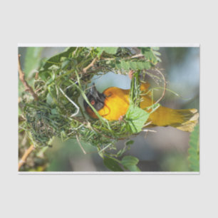 Mousseline Papier de tissus avec l'image de Weaver Bird