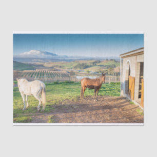 Mousseline Papier de tissus avec l'image des chevaux arabes
