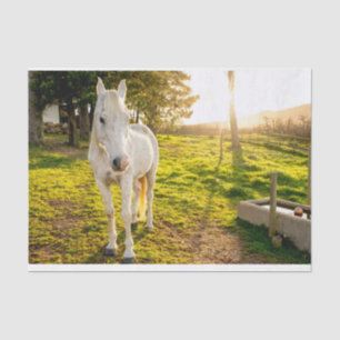 Mousseline Papier de tissus avec l'image du cheval blanc d'Ar