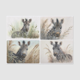 Mousseline Papier de tissus Baby Zebra