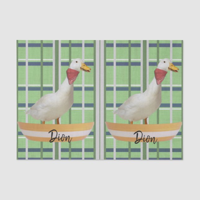 Mousseline Papier de tissus Canard vert (Recto)