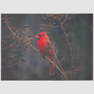 Mousseline Papier de tissus cardinal