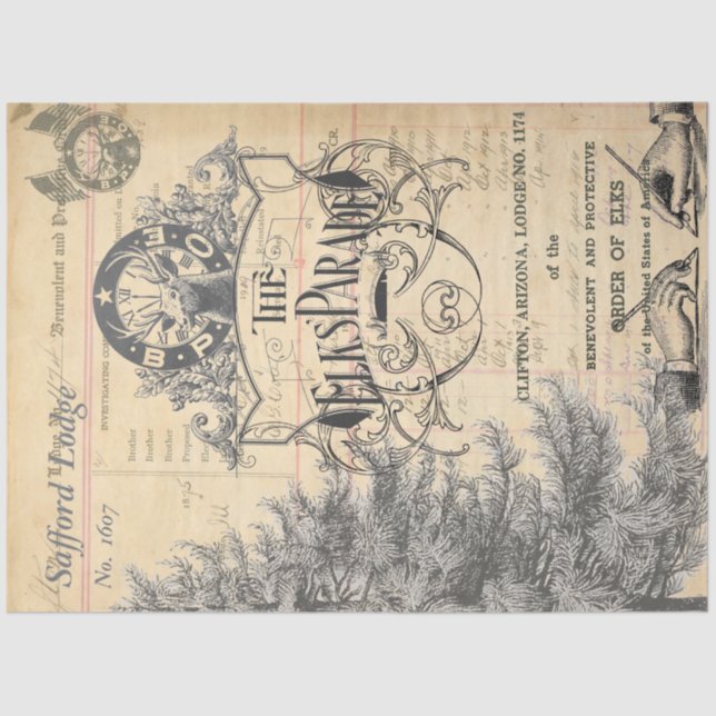 Mousseline Papier de tissus Els Ephemera (Recto)