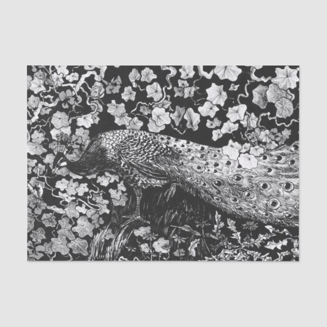 Mousseline Papier de tissus NOIR ET BLANC PEACOCK (Recto)