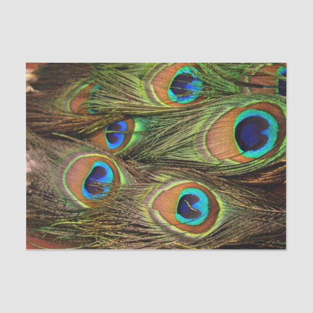 Mousseline Papier de tissus Peacock Feathers (Recto)