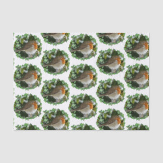 Mousseline Papier de tissus Robins - 15 gsm (10 lb), blanc