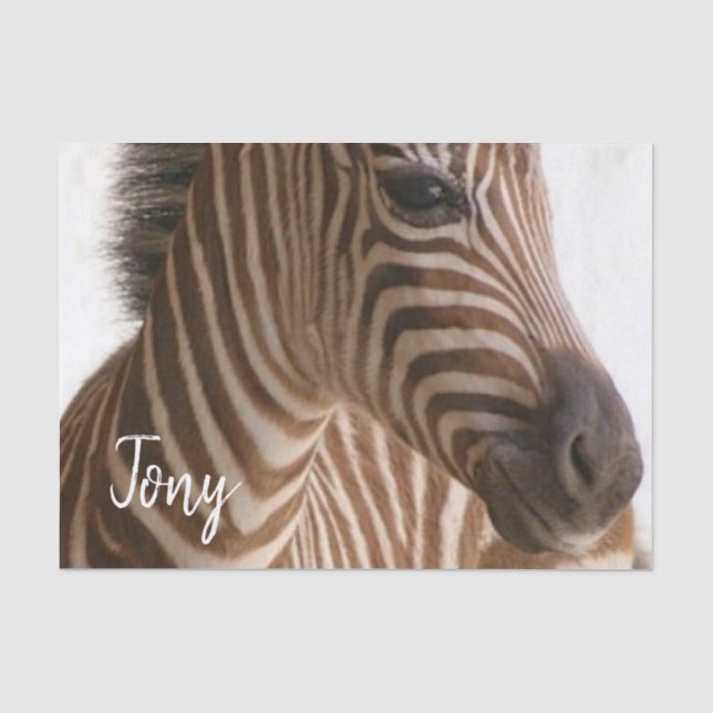 Mousseline Papier de tissus Zebra (Recto)