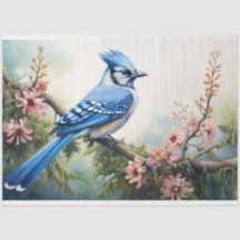 Papier Découpage Jay 2 bleu