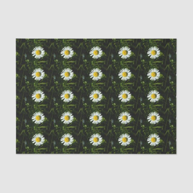 Mousseline Papier Tissu Daisy (Recto)