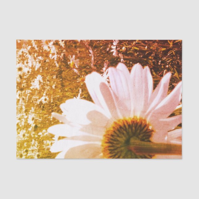 Mousseline Papier Tissu Daisy Fields (Recto)