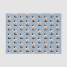 Papier Tissu de chat Siamois bleu