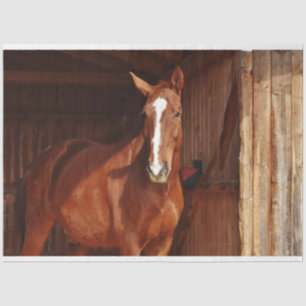 Mousseline papier tissu de cheval de grange
