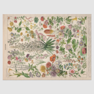 Mousseline Papier Tissu Fleurs Botaniques Françaises