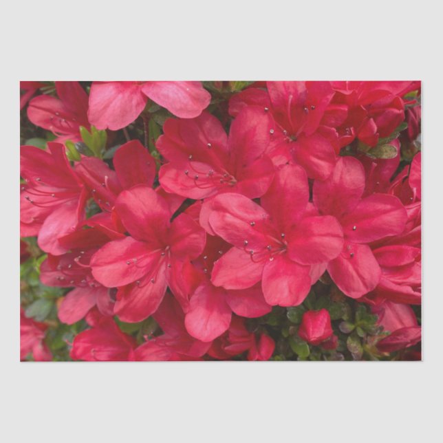 Mousseline Papier Tissu Floral frais (Recto)