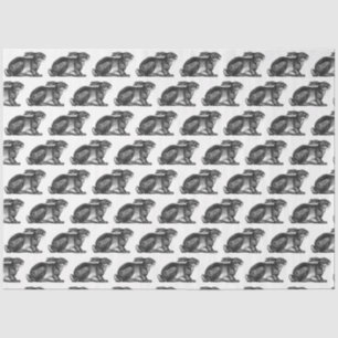 Mousseline Papier Tissu Lapin en noir et blanc