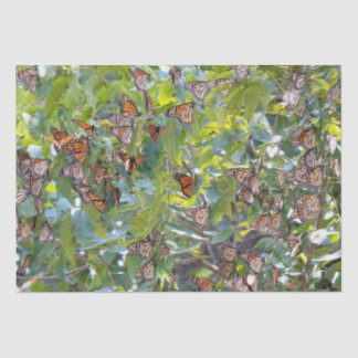 Mousseline Papier Tissu Monarque Papier papillon