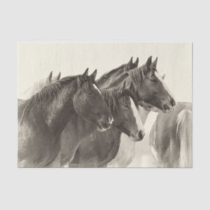 Mousseline Papier Tissu Mustang Cheval vintage