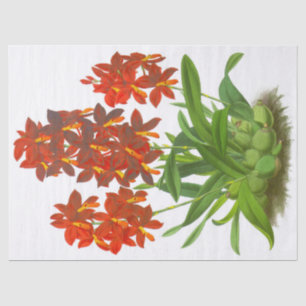 Mousseline Papier Tissu Orange Red Orchid
