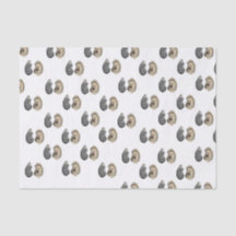 Papier Tissu Oyster Shell