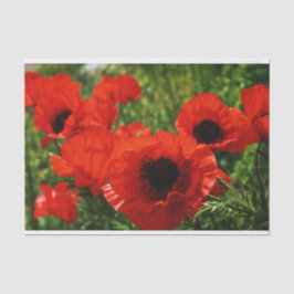 Mousseline Papier Tissu Poppy