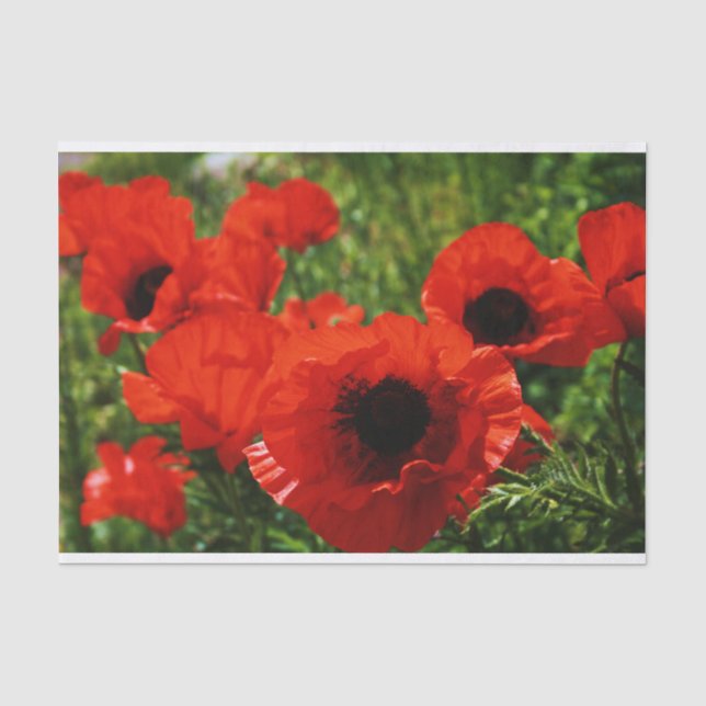 Mousseline Papier Tissu Poppy (Recto)