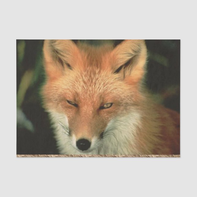 Mousseline Papier Tissu Red Fox (Recto)