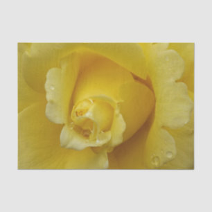 Mousseline Papier Tissu Rose jaune