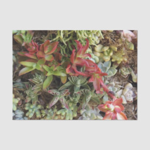 Mousseline Papier Tissu Succulent