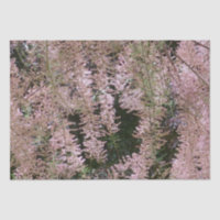 Papier Tissu Tamarisk Blossom