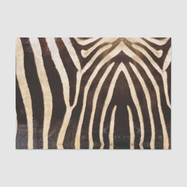 Mousseline Papier Tissu Zebra Skin (Recto)