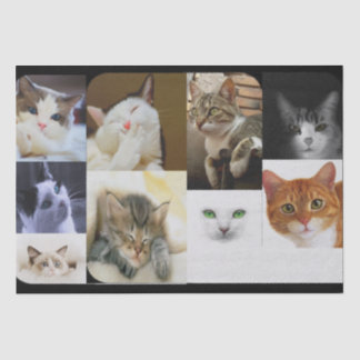 Mousseline Papier tissulaire Amoureux des chats