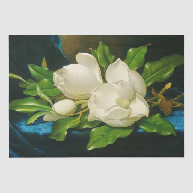 Mousseline Papier tissulaire en fleurs de Magnolia géantes de (Recto)